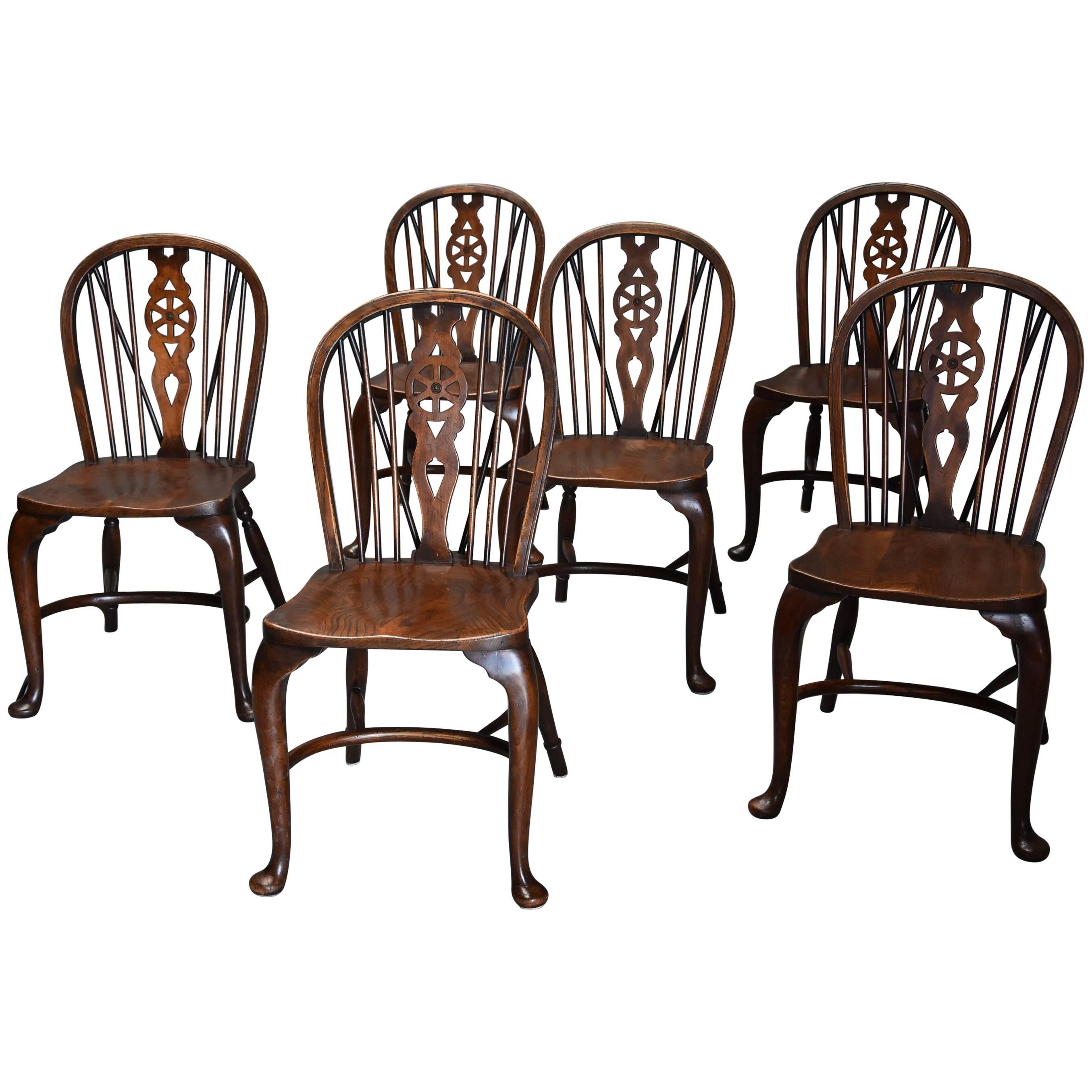 Superb Set of Six Ash and Beech Wheelback Windsor Chairs with Cabriole Leg