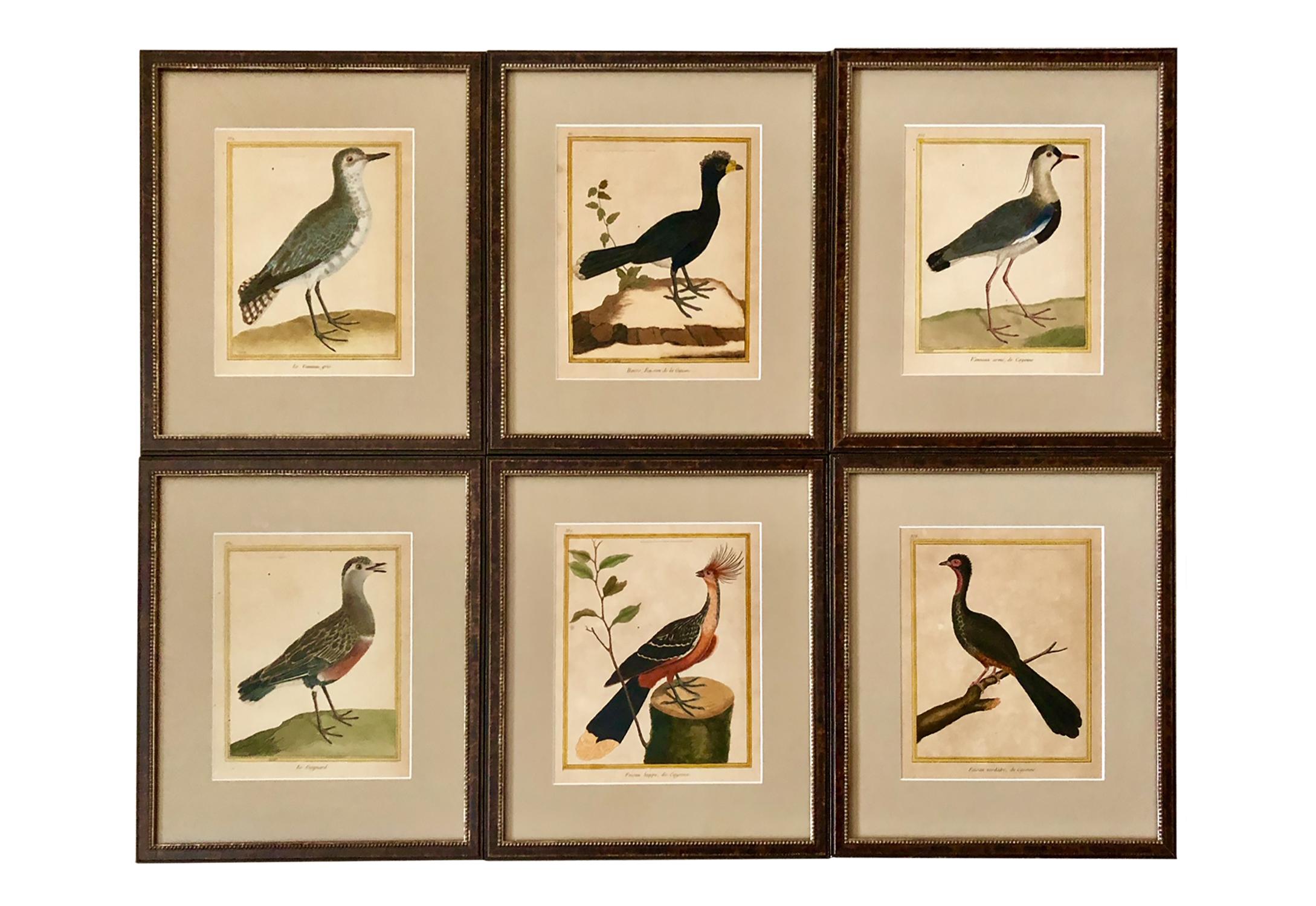 A set of twelve beautiful hand colored copper plate engravings from '1770- 1786 Histoire Naturelle des Oiseaux ' Paris Imprimerie Royale by Le Comte de Buffon Georges- Louis Marie Leclerc . The engravings are by Francois Nicholas Martinet, the