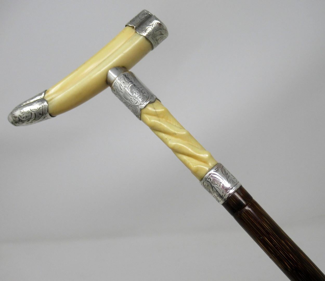 A very unusual ladies or gentleman’s ivory boar tusk walking cane, early 20th century, of outstanding quality.

The 