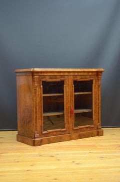 Superb Victorian Bookcase or Display Cabinet