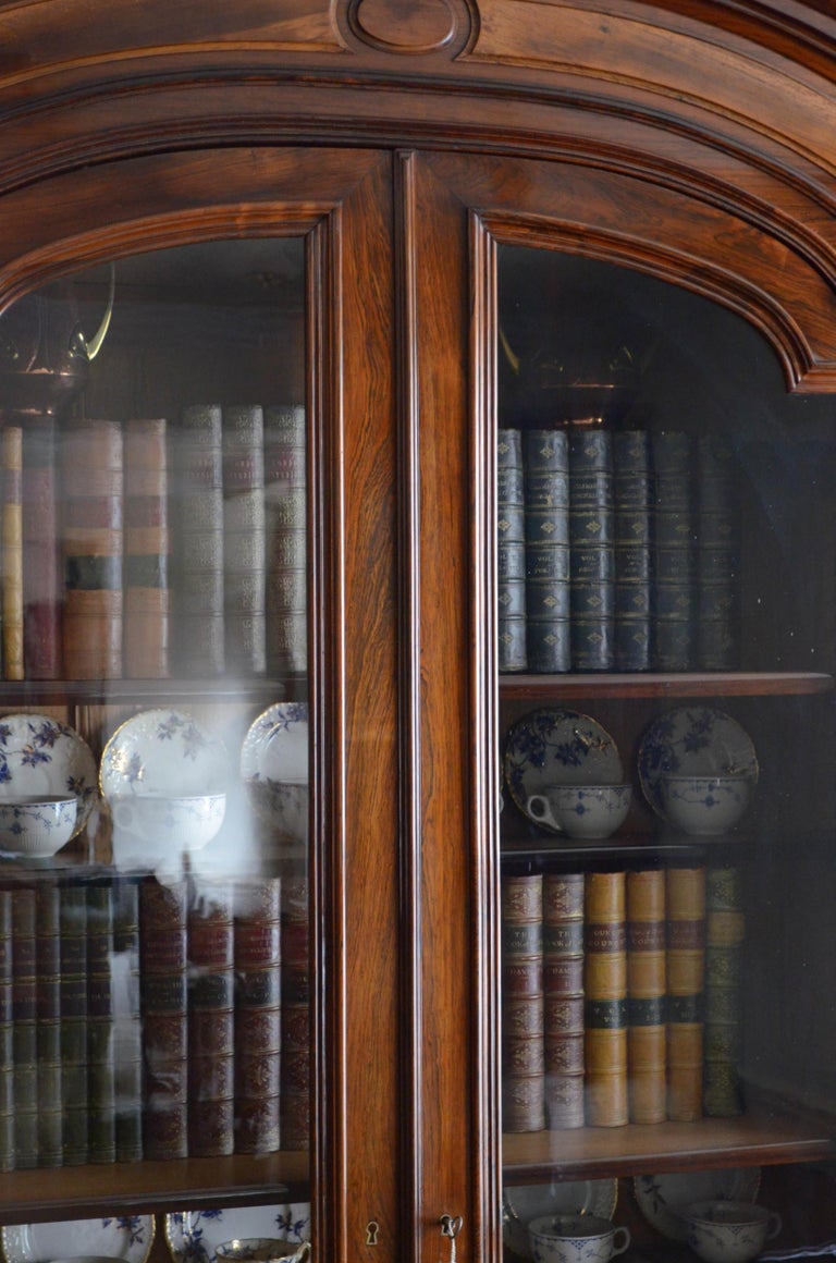 Superb XIXth Century Rosewood Bookcase or Display Cabinet For Sale 4