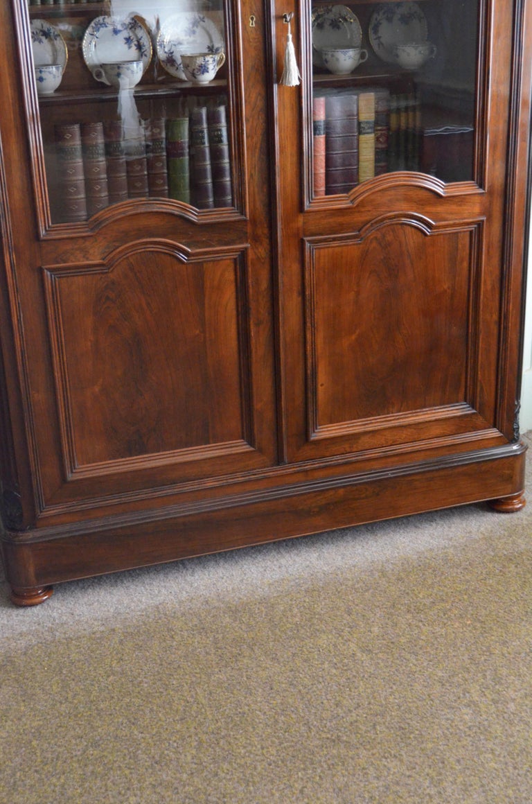 Superb XIXth Century Rosewood Bookcase or Display Cabinet For Sale 5