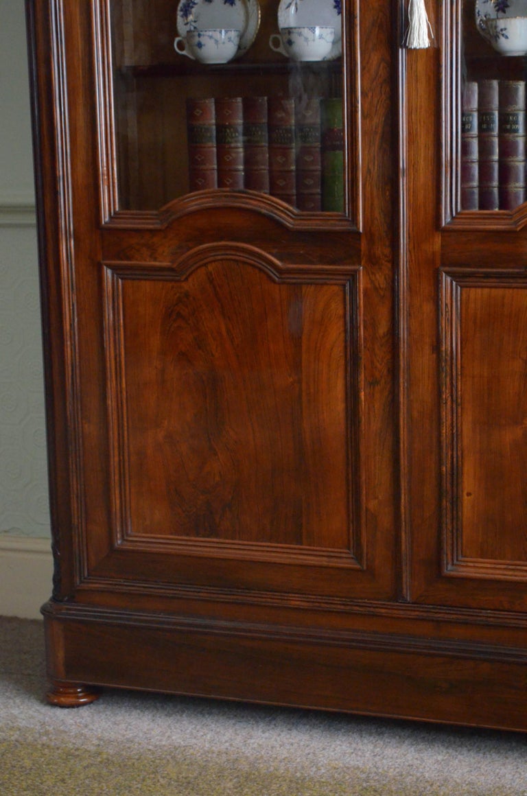 Superb XIXth Century Rosewood Bookcase or Display Cabinet For Sale 9