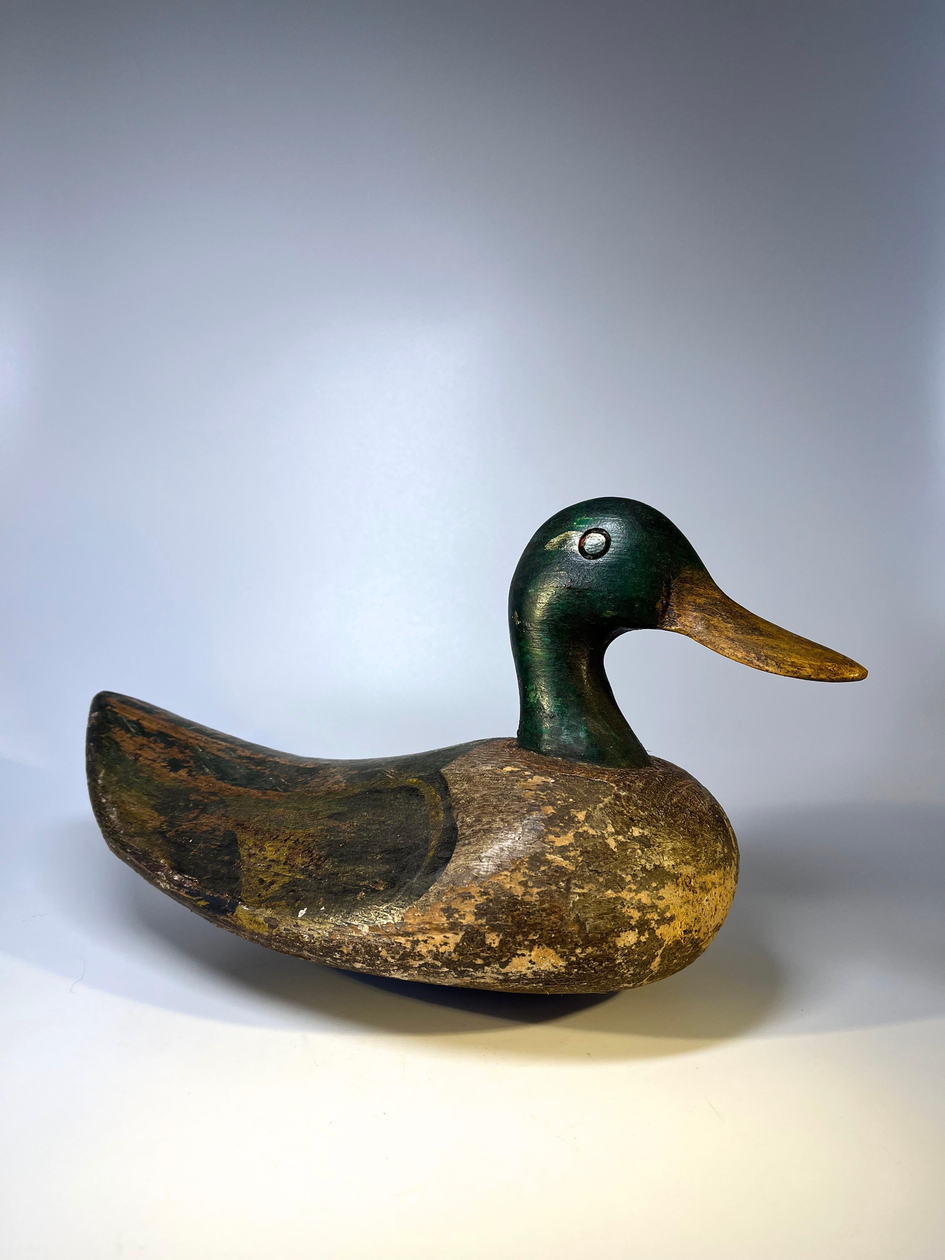 A superior antique English wood and cork Mallard drake decoy with original paint
Lightweight and hand-carved - large impressionistic shape and form
Circa early 20th century
Measures: Tip of beak to tail 13 inch, Width across body 6 inch, Height 7