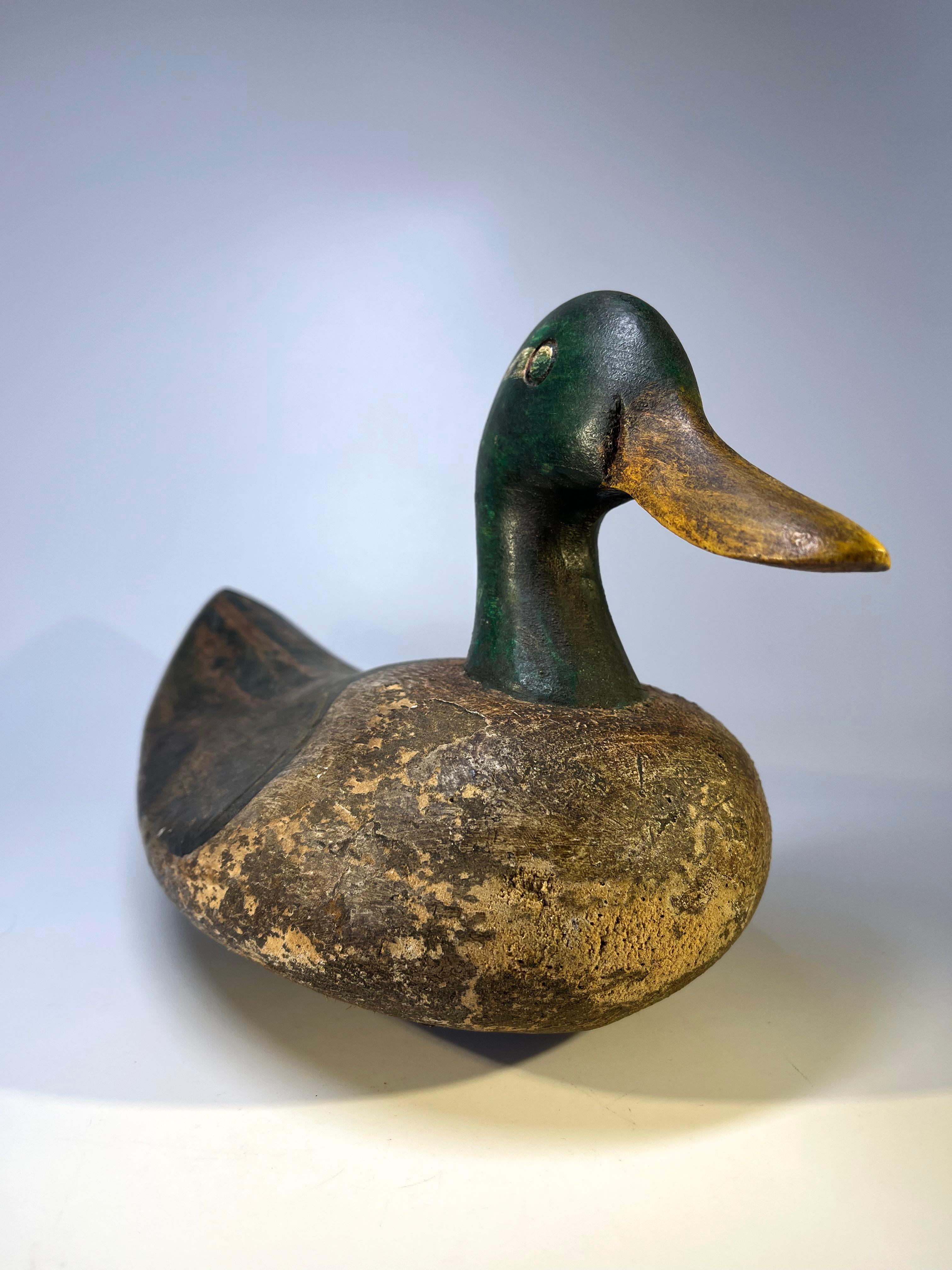 Early Victorian Superior Antique English Cork Mallard Decoy Duck, Early 20th Century For Sale