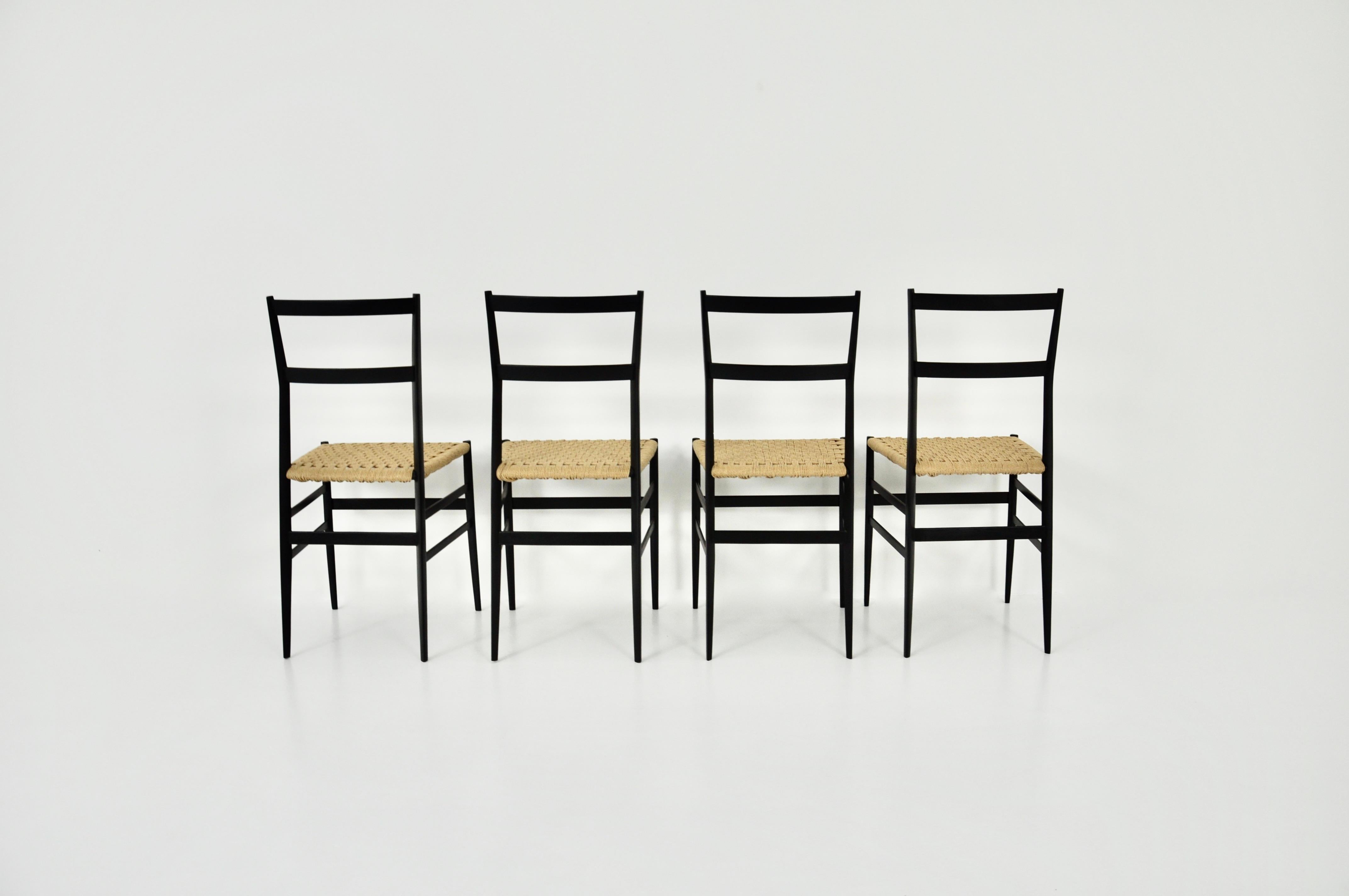 Mid-20th Century Superleggera Chairs by Gio Ponti for Cassina, 1950s Set of 4