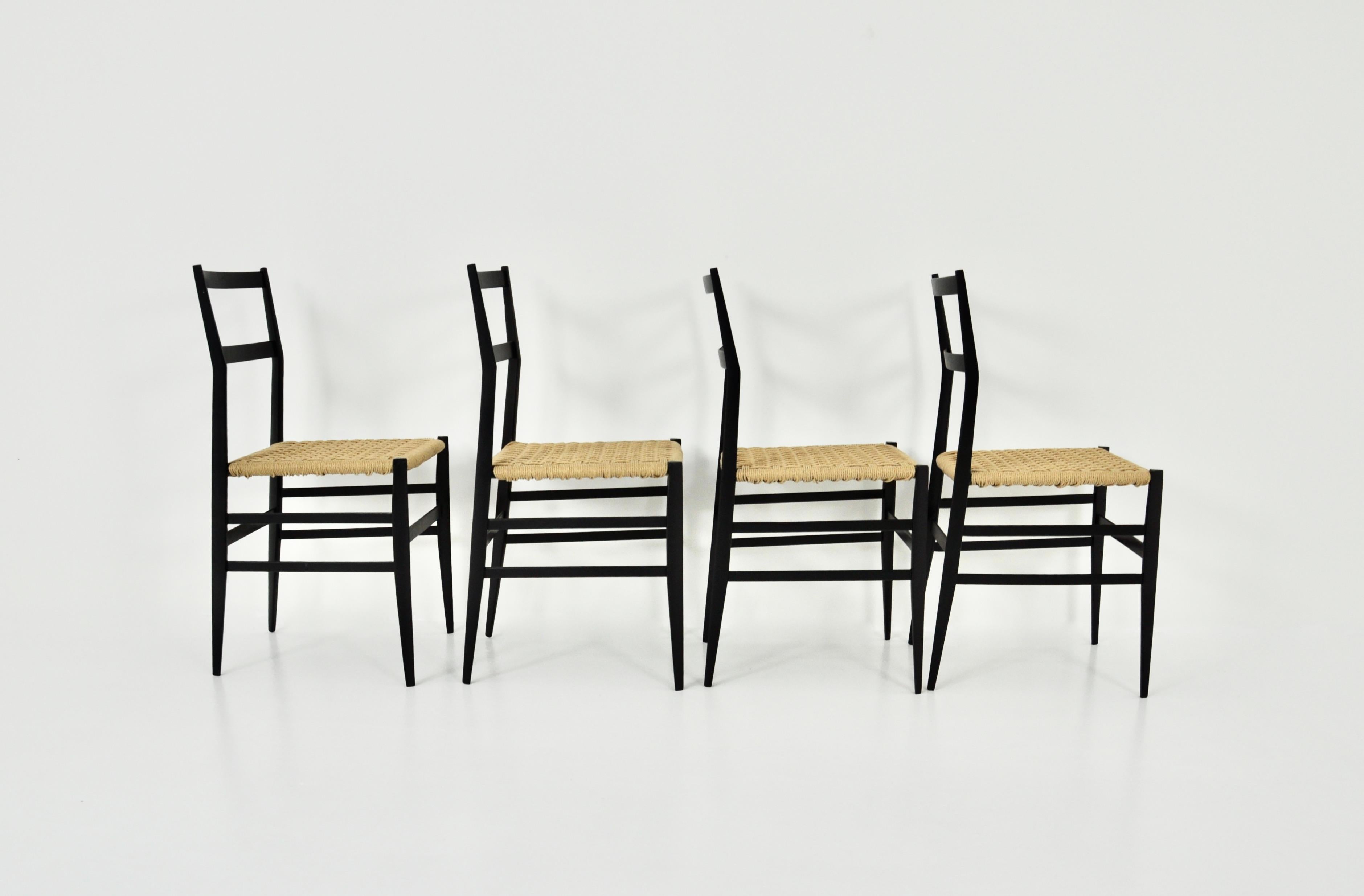 Wood Superleggera Chairs by Gio Ponti for Cassina, 1950s Set of 4