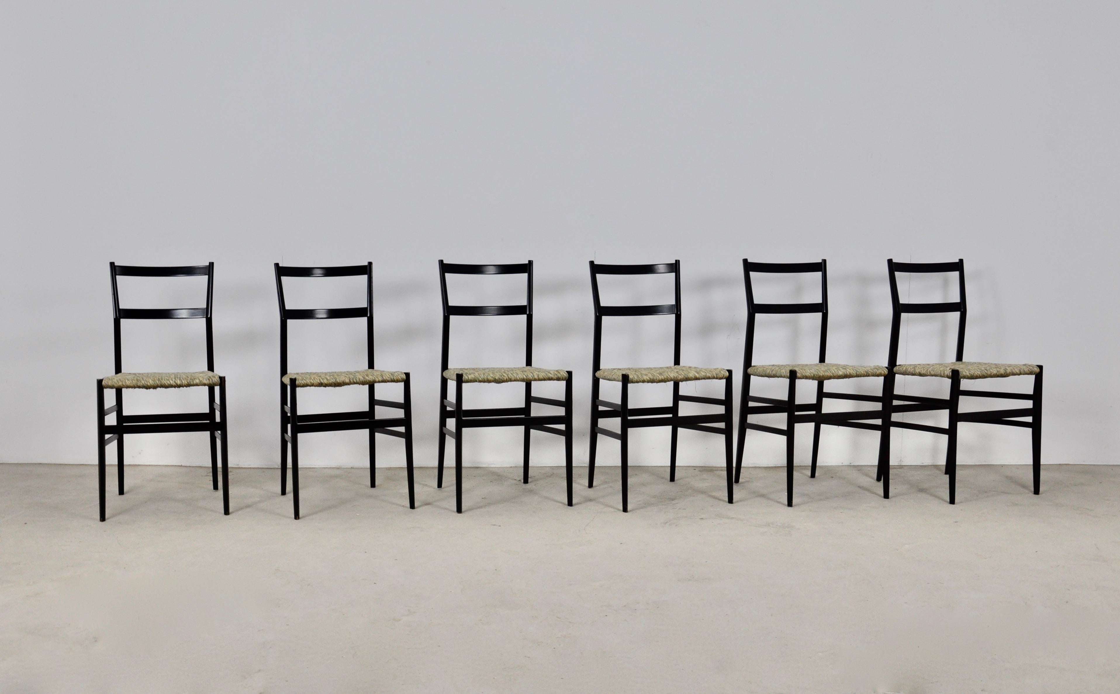 Mid-Century Modern Superleggera Chairs by Gio Ponti for Cassina, 1950S Set of 6