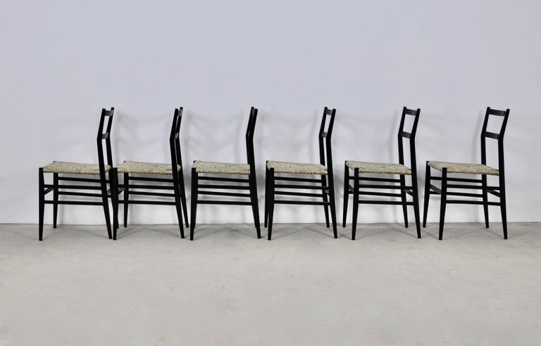 Mid-20th Century Superleggera Chairs by Gio Ponti for Cassina, 1950S Set of 6 For Sale