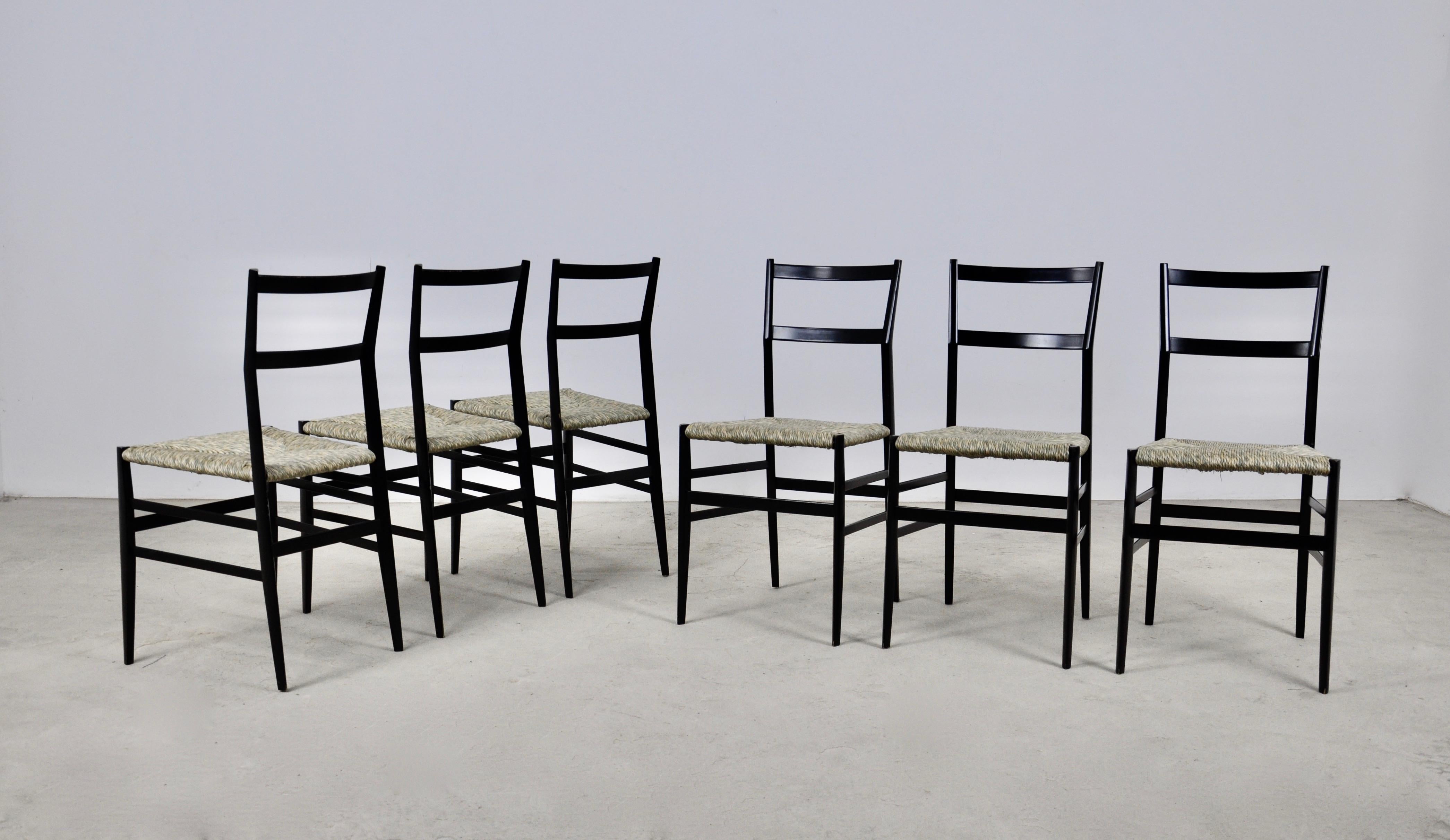 Wood Superleggera Chairs by Gio Ponti for Cassina, 1950S Set of 6