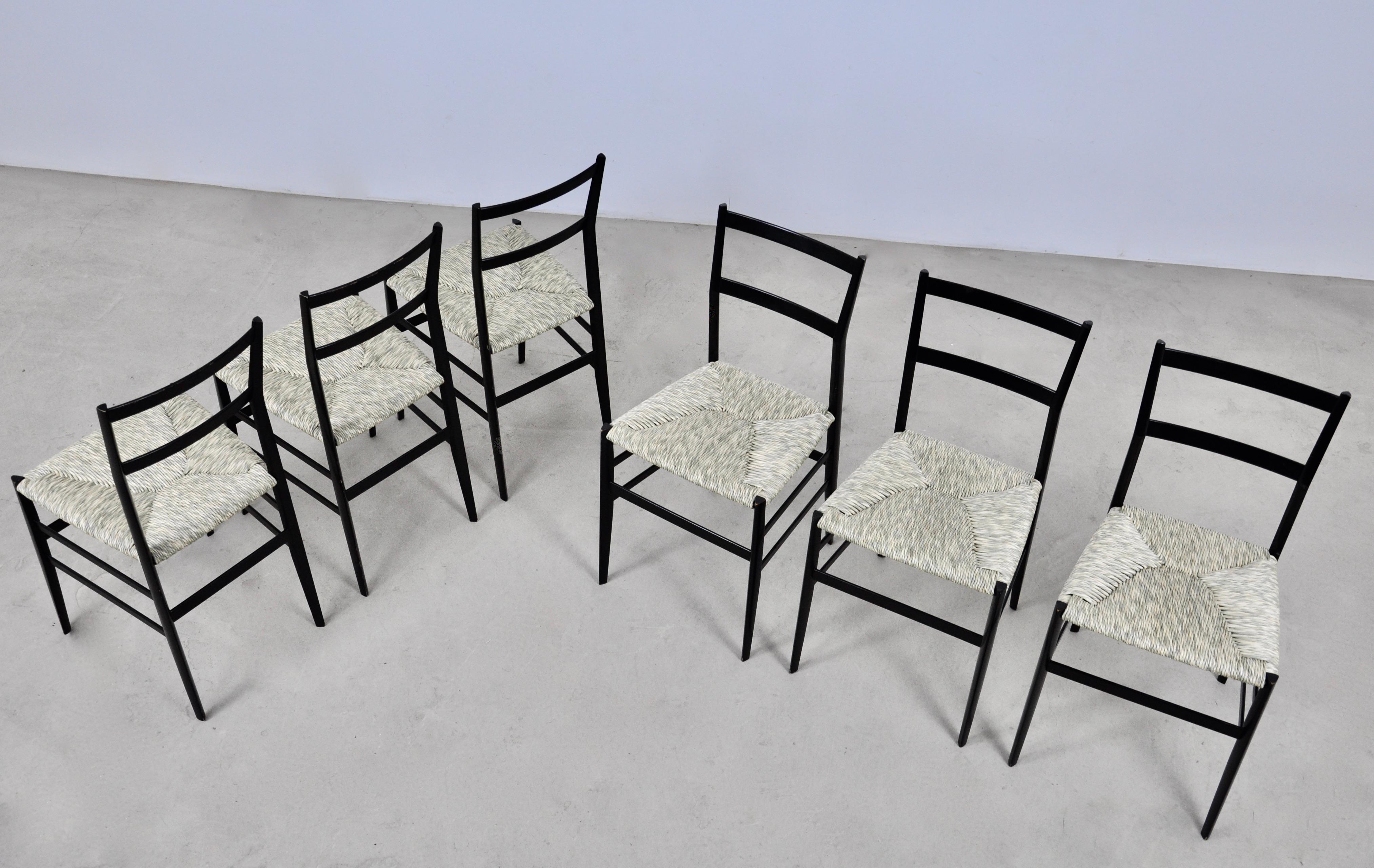 Superleggera Chairs by Gio Ponti for Cassina, 1950S Set of 6 1