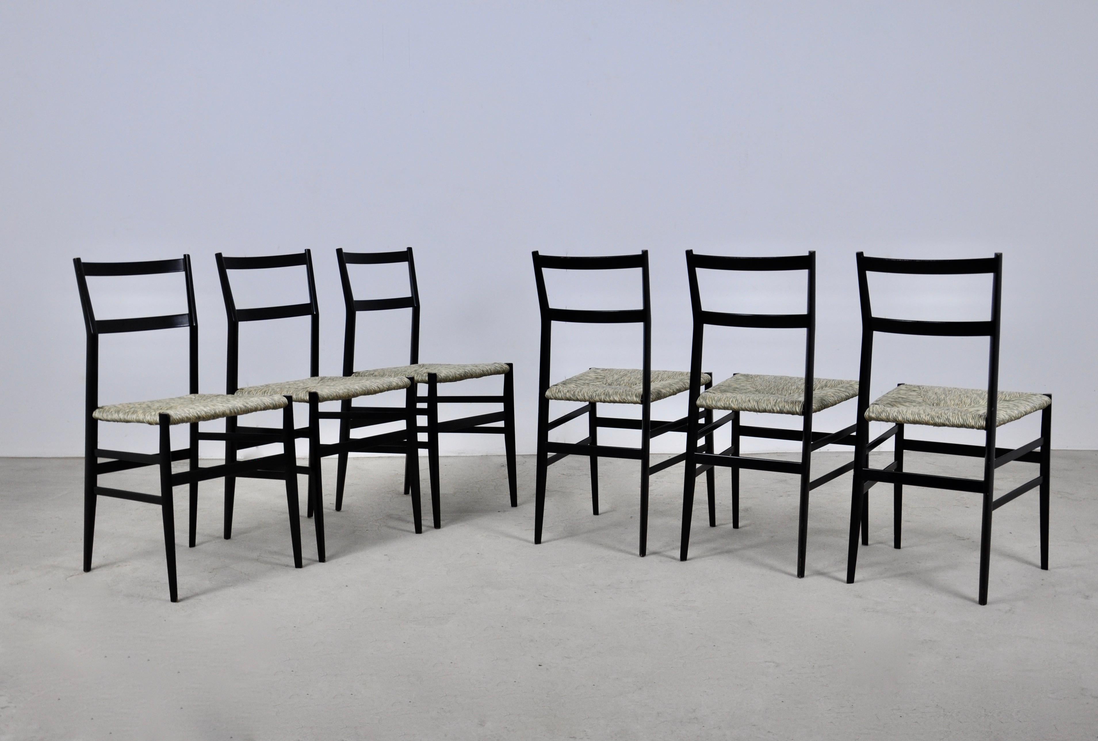 Superleggera Chairs by Gio Ponti for Cassina, 1950S Set of 6 2