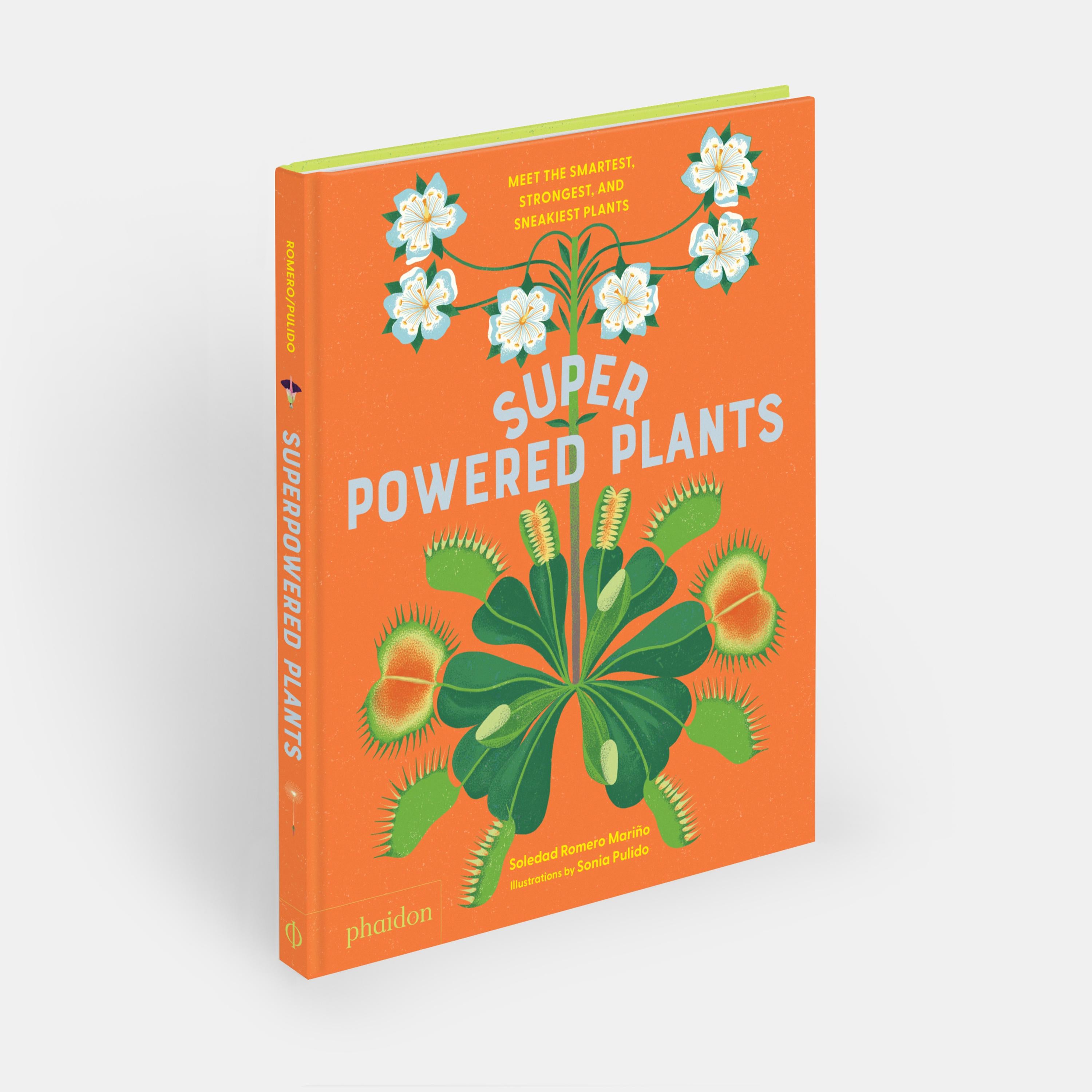 Chinois Les plantes les plus intelligentes, les plus solides et les plus ingénieuses rencontrent en vente