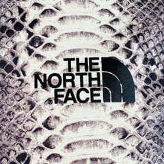SUPREME x THE NORTH FACE Size M Grey Black White Snake Print Nylon Shirt Jacket