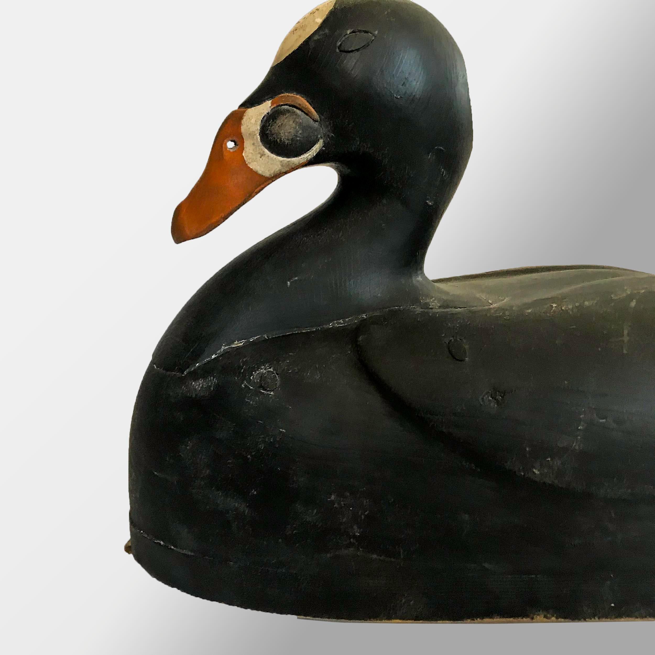surf scoter decoys