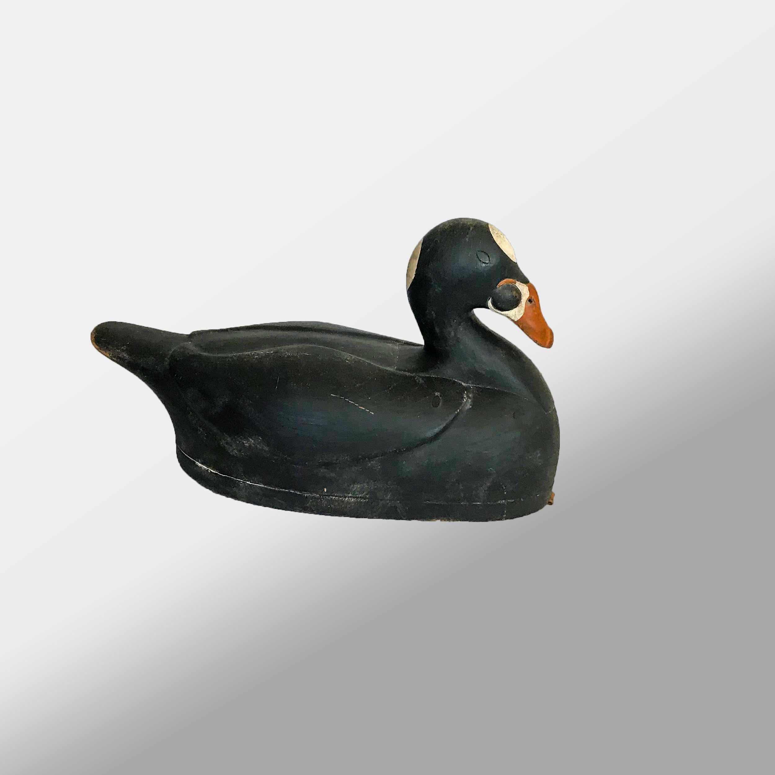 scoter decoys