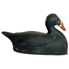 Used Surf Scoter Decoy