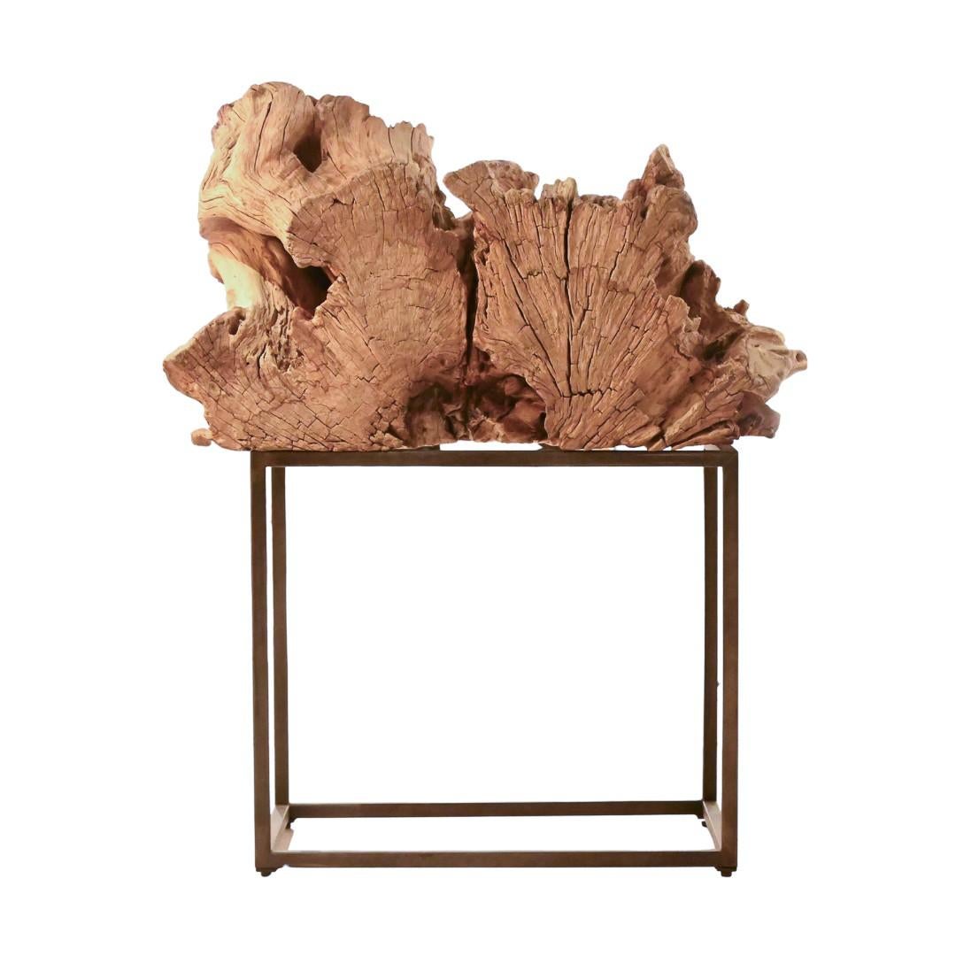 Cette sculpture en racine de teck possède une forme organique et sculpturale avec une  une texture naturelle et des origines uniques et durables. C'est vraiment le cas  