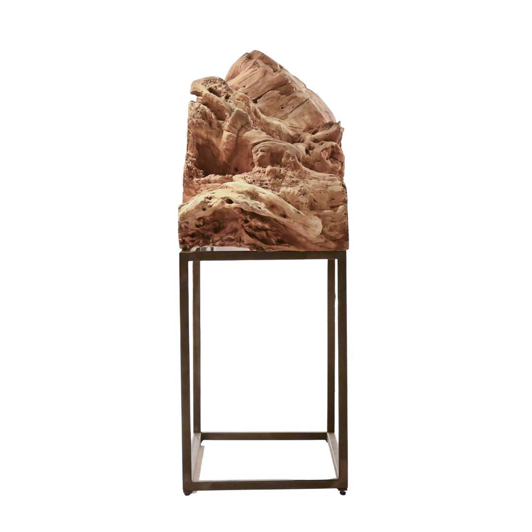 Mexicain Surge Sculpture de racines en teck naturel en vente
