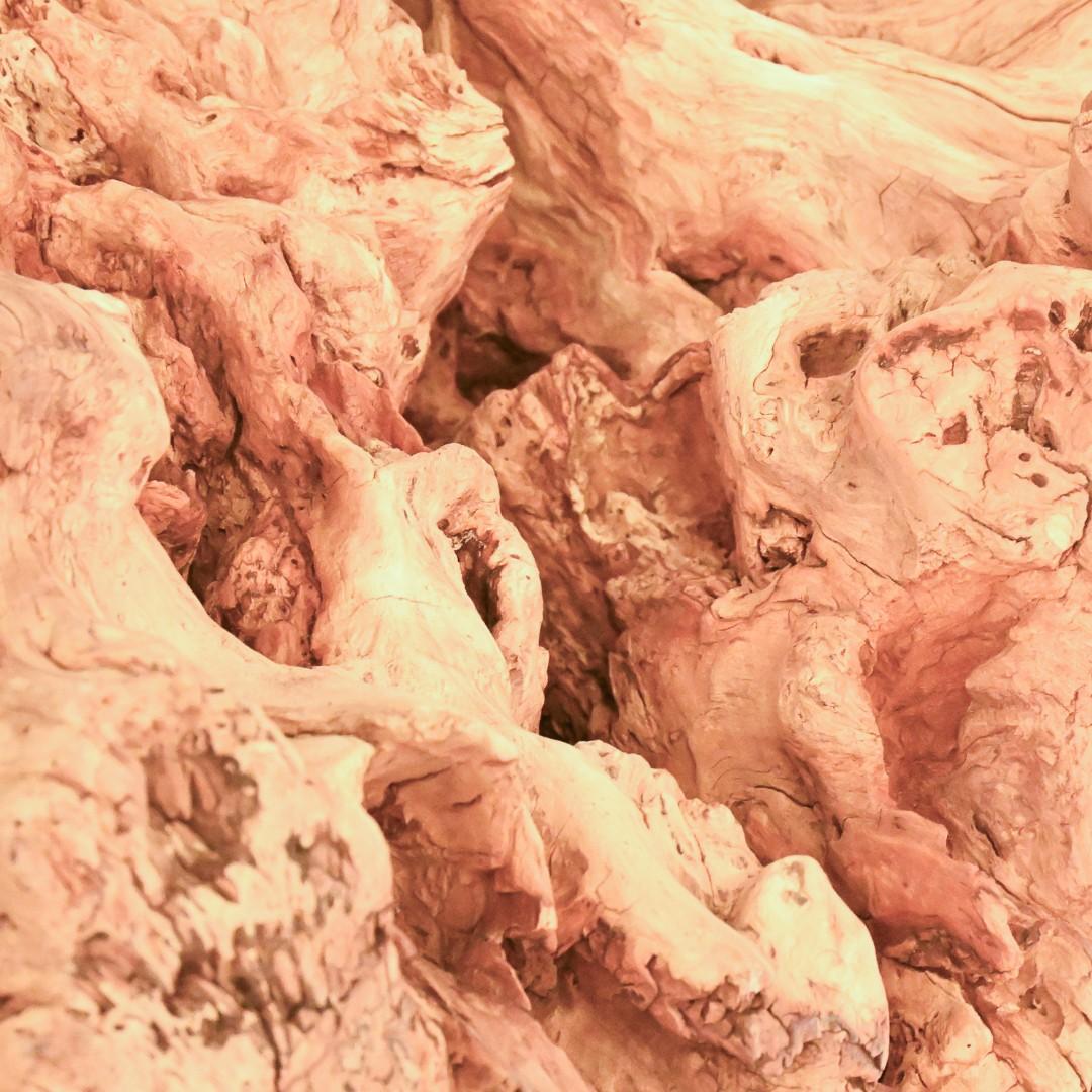 Surge Sculpture de racines en teck naturel Neuf - En vente à Atlanta, GA