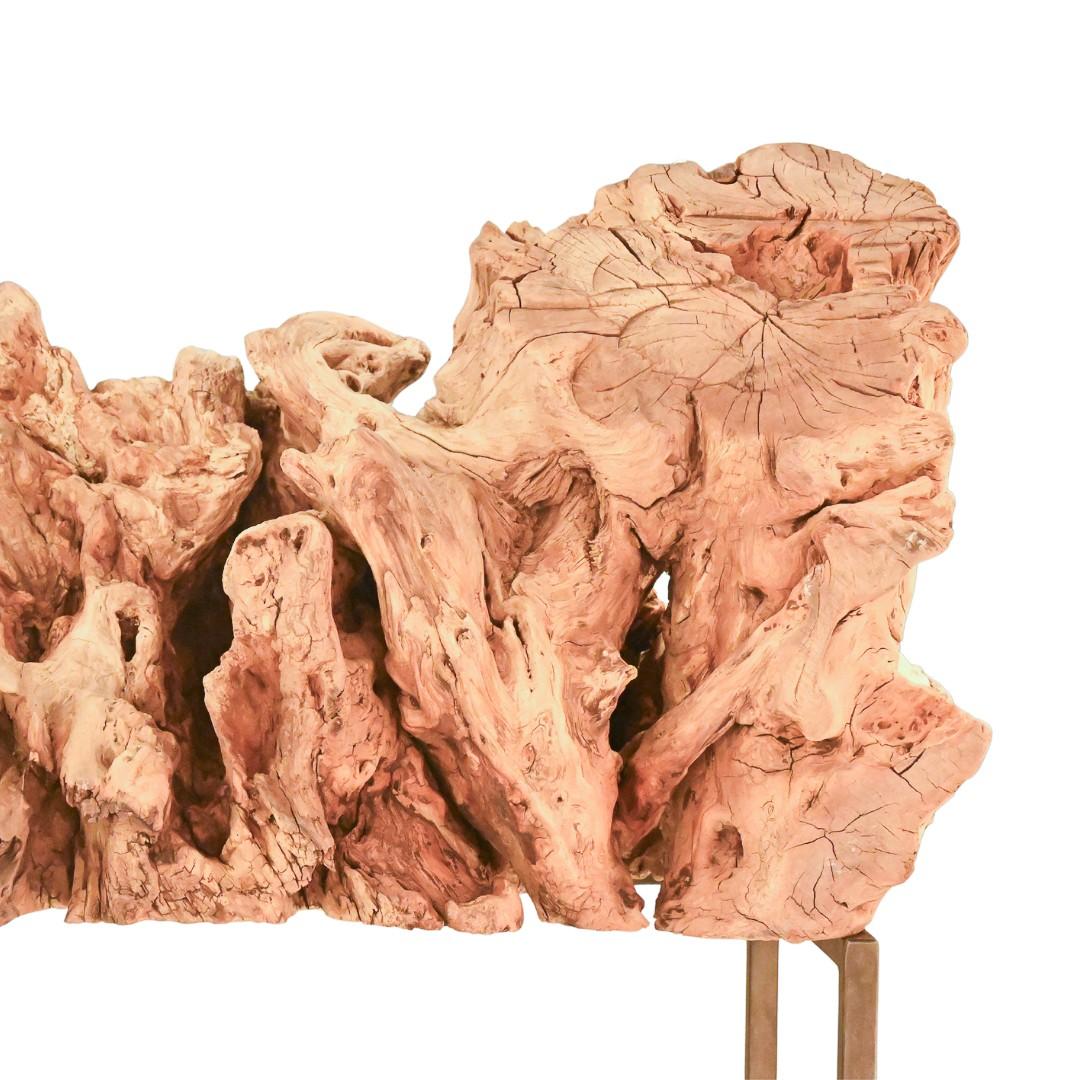 XXIe siècle et contemporain Surge Sculpture de racines en teck naturel en vente