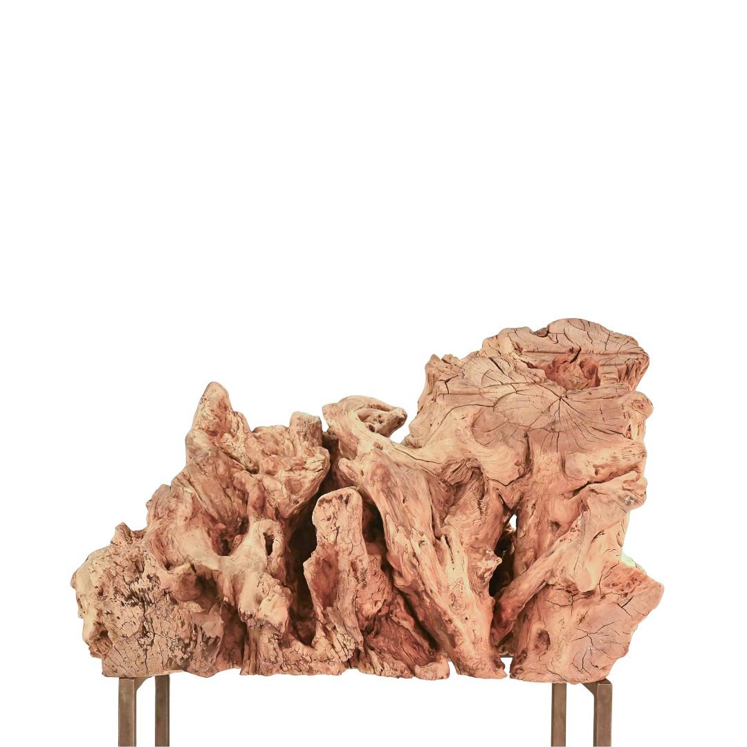 Bois Surge Sculpture de racines en teck naturel en vente