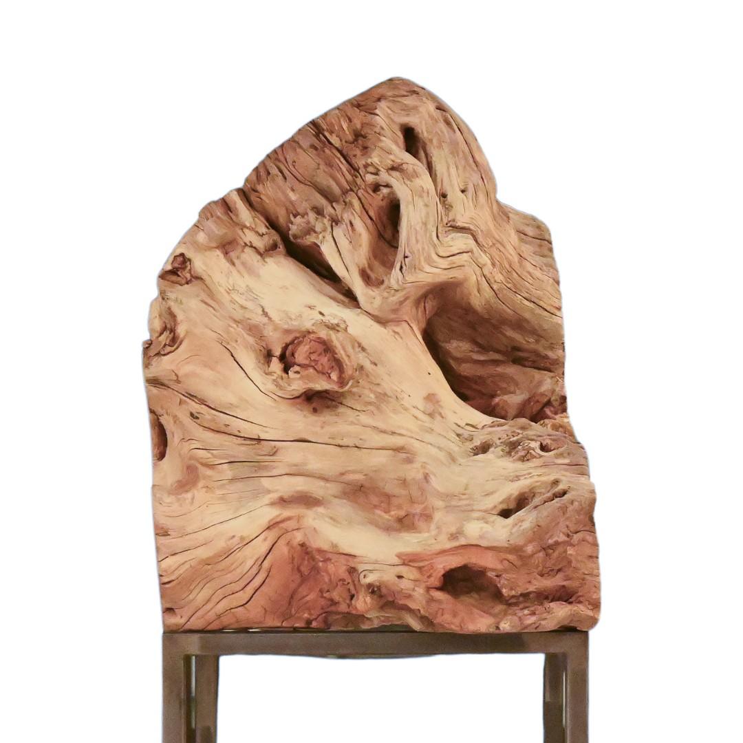 Surge Sculpture de racines en teck naturel en vente 1