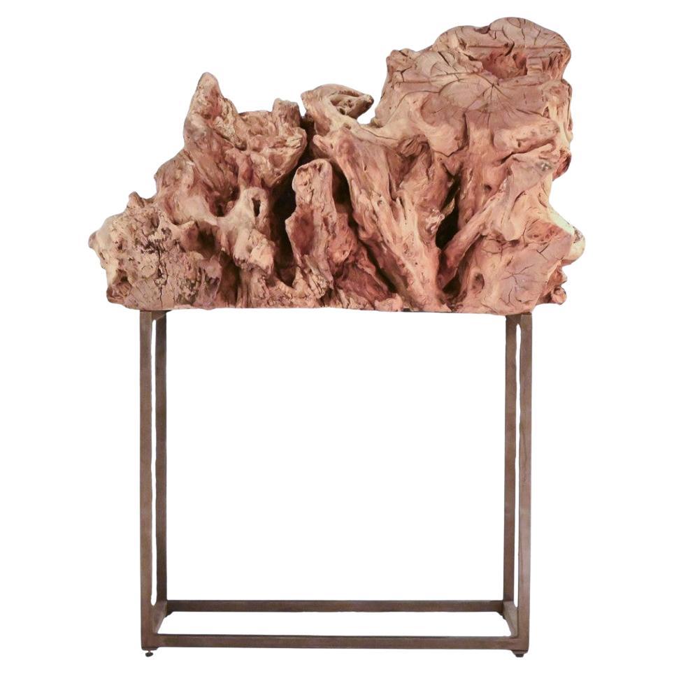 Scultura di radici in teak naturale Surge