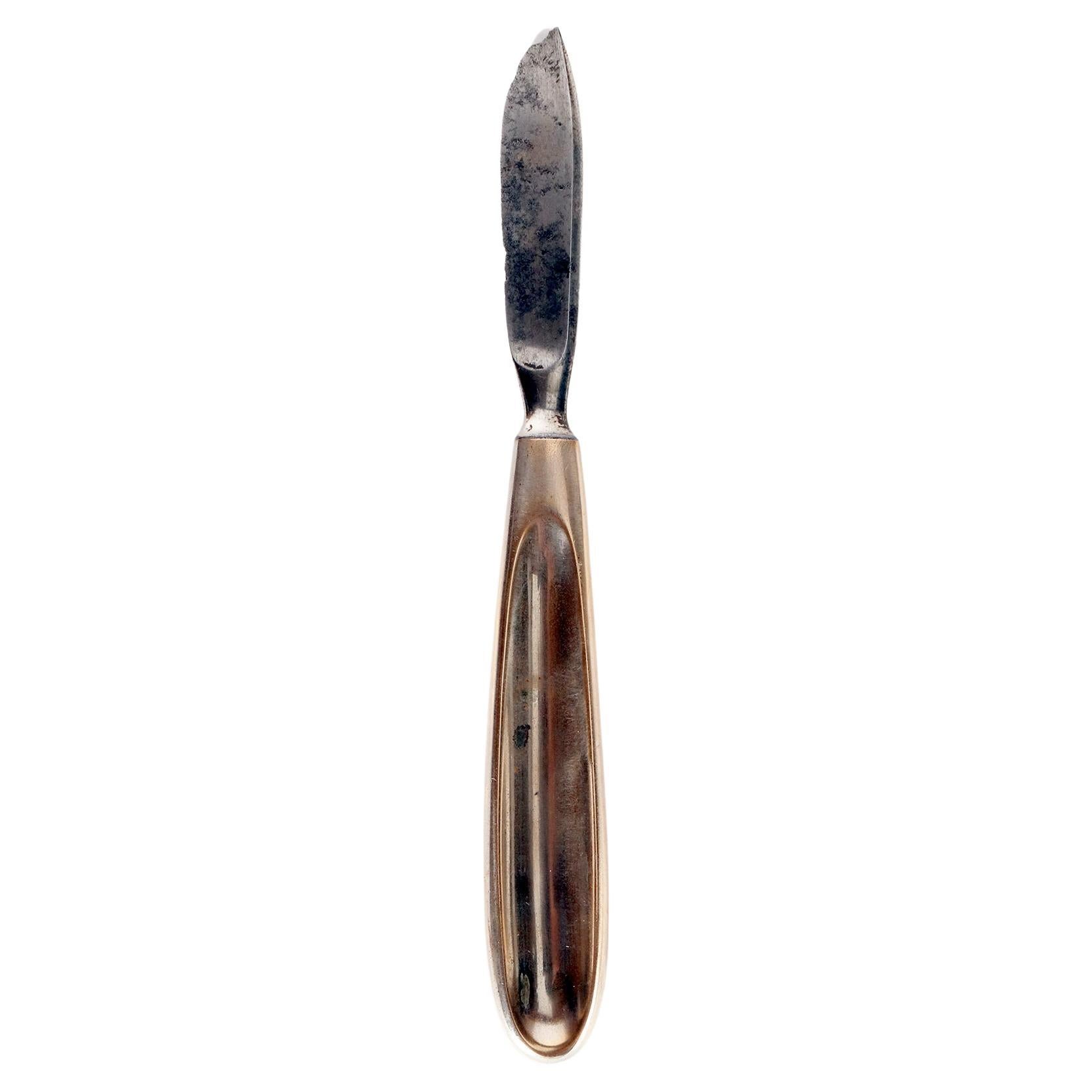 Surgisches Instrument: ein Scalpel, spätes 19. Jahrhundert, Vereinigte Staaten 1900.