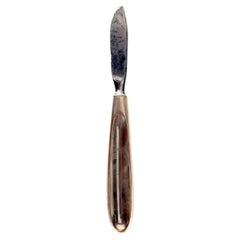 Surgisches Instrument: ein Scalpel, spätes 19. Jahrhundert, Vereinigte Staaten 1900.