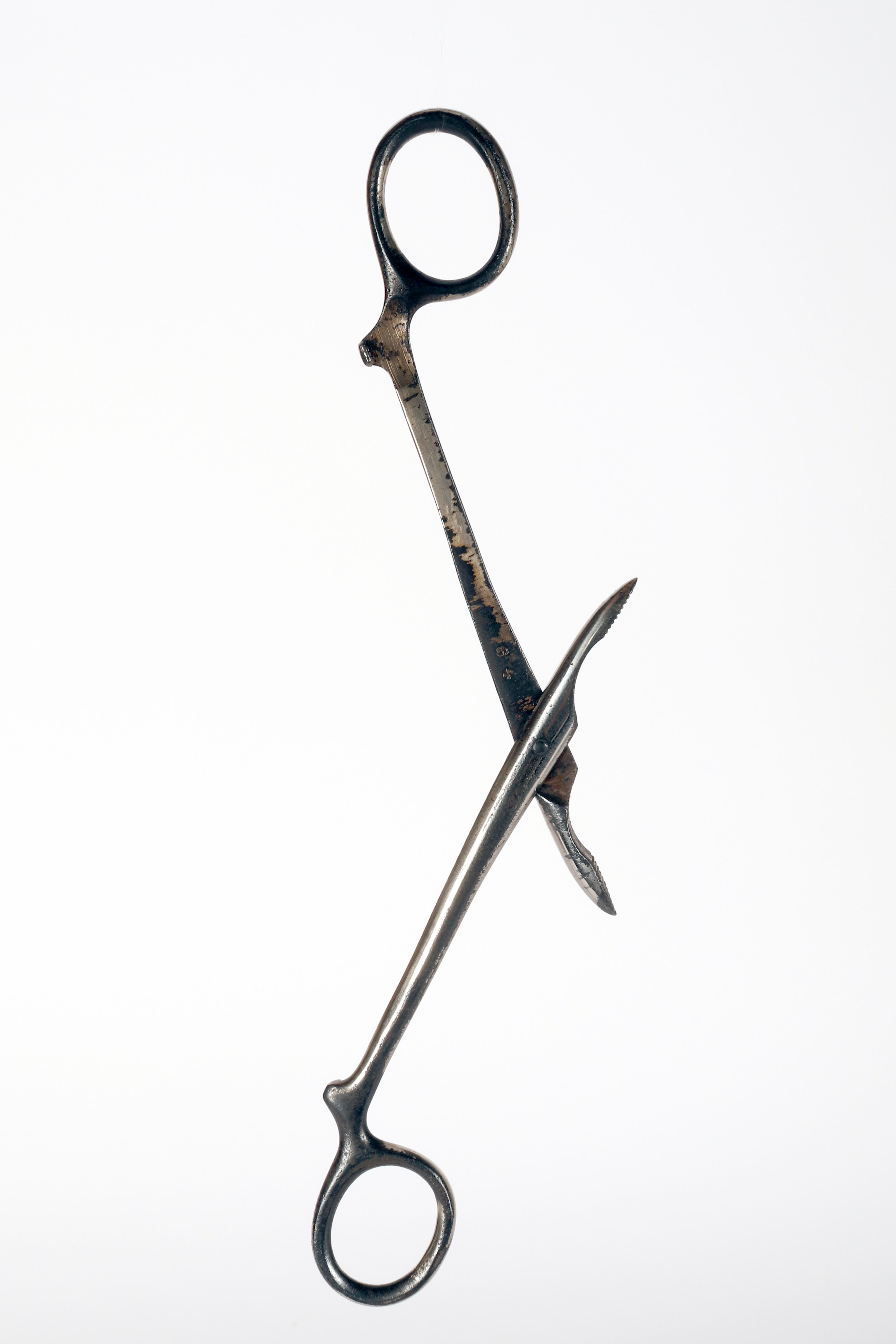 Américain Instrument chirurgie : forceps, fin du 19e siècle, États-Unis 1900. en vente