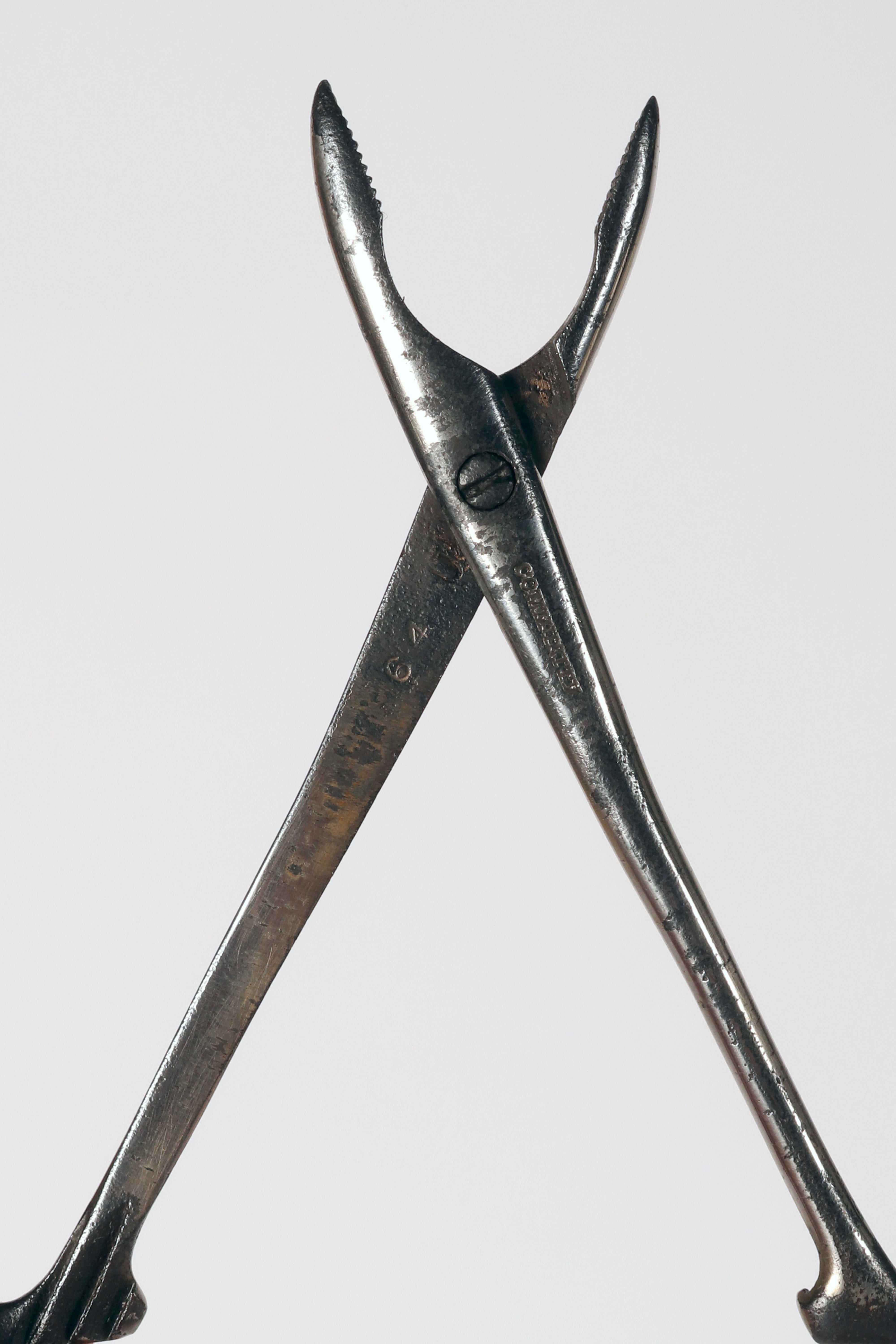 Fer Instrument chirurgie : forceps, fin du 19e siècle, États-Unis 1900. en vente