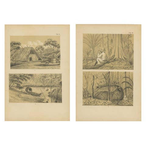 Suriname Jungle Life & Sacred Stone - Lithograph Pair by Karl Martin, 1888
