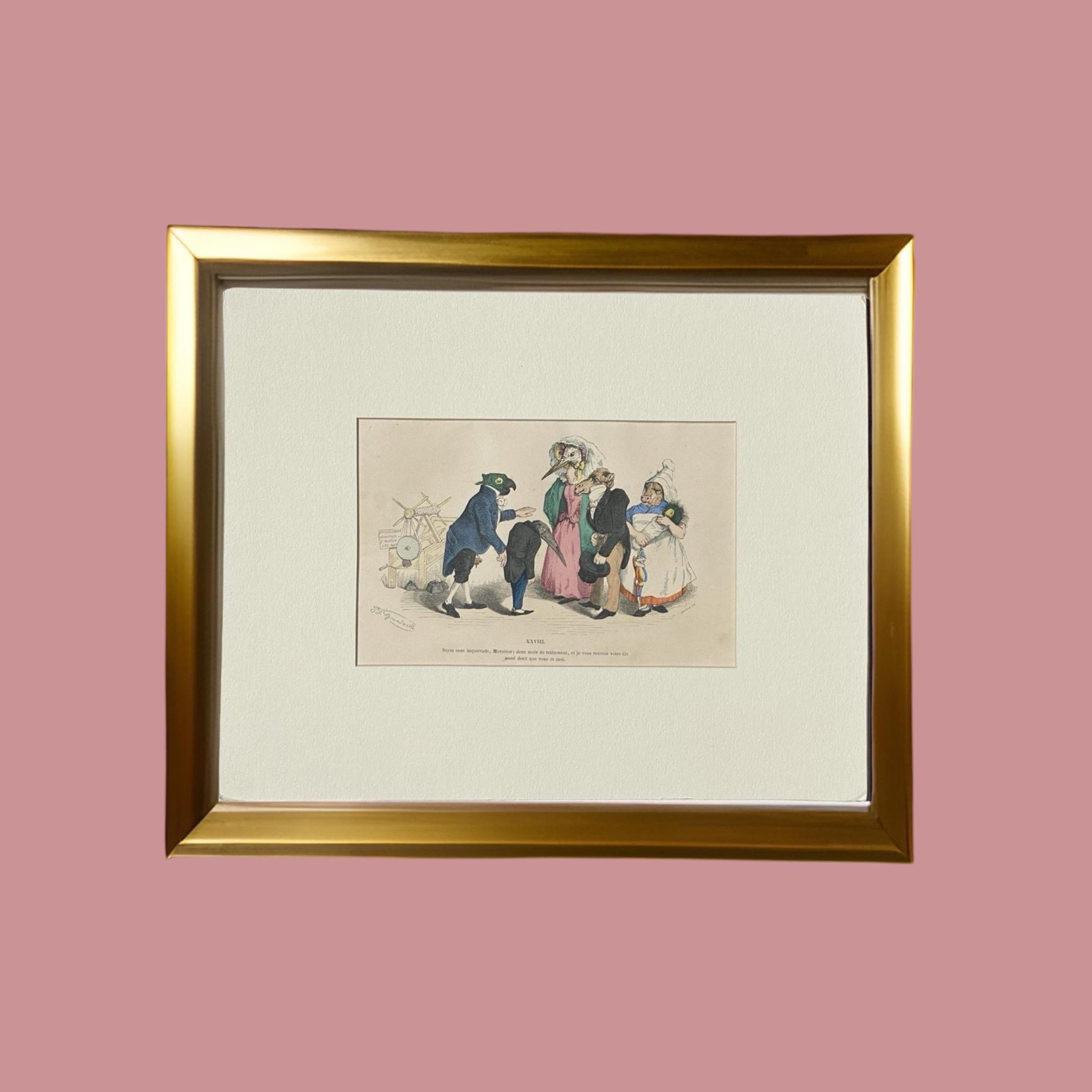 Surrealistische, handkolorierte Tiergravur auf Kupferplatte mit Kupferstich von Granville, Paris 1875 im Angebot 6