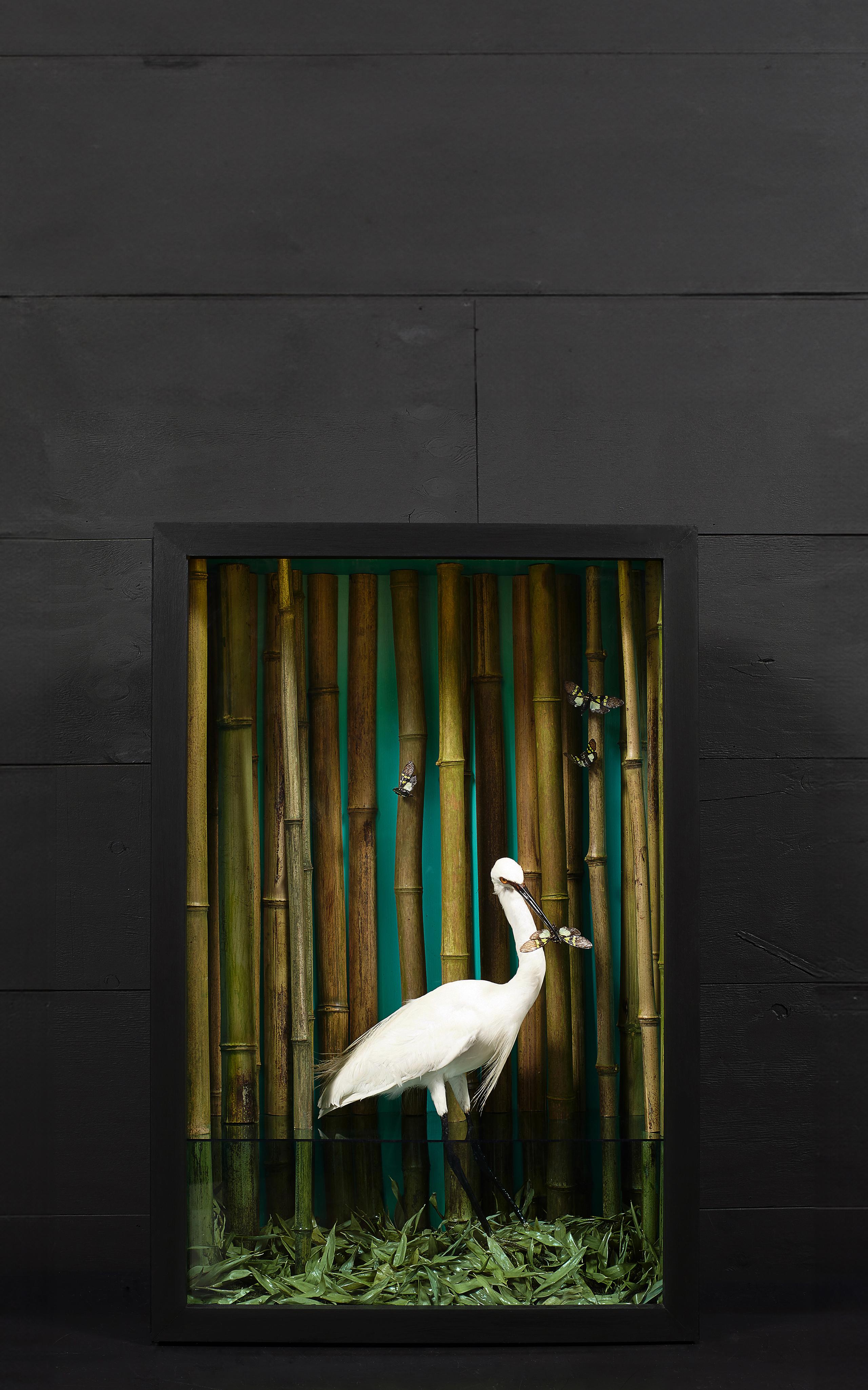 The Flood, 2016, ist ein beleuchtetes Update des traditionellen viktorianischen Glasdioramas, das eine surreale Dschungelbegegnung zwischen einem upgecycelten, taxidermierten kleinen Reiher und verschiedenen konservierten Schmetterlingen inmitten