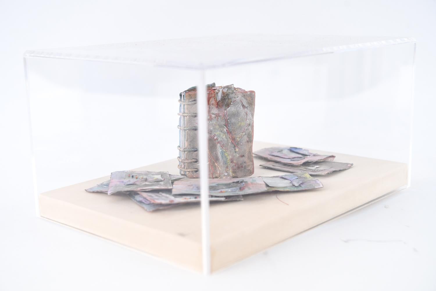Susan Bland, „Scrapbook #1“, Original-Kunstkomposition in Vitrine, 1986 (amerikanisch) im Angebot