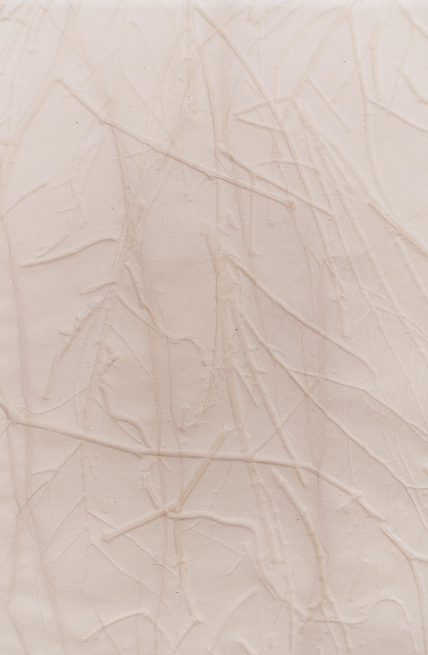 Parchment Series XXXV - abstract, embossed, monoprint on parchment paper 1