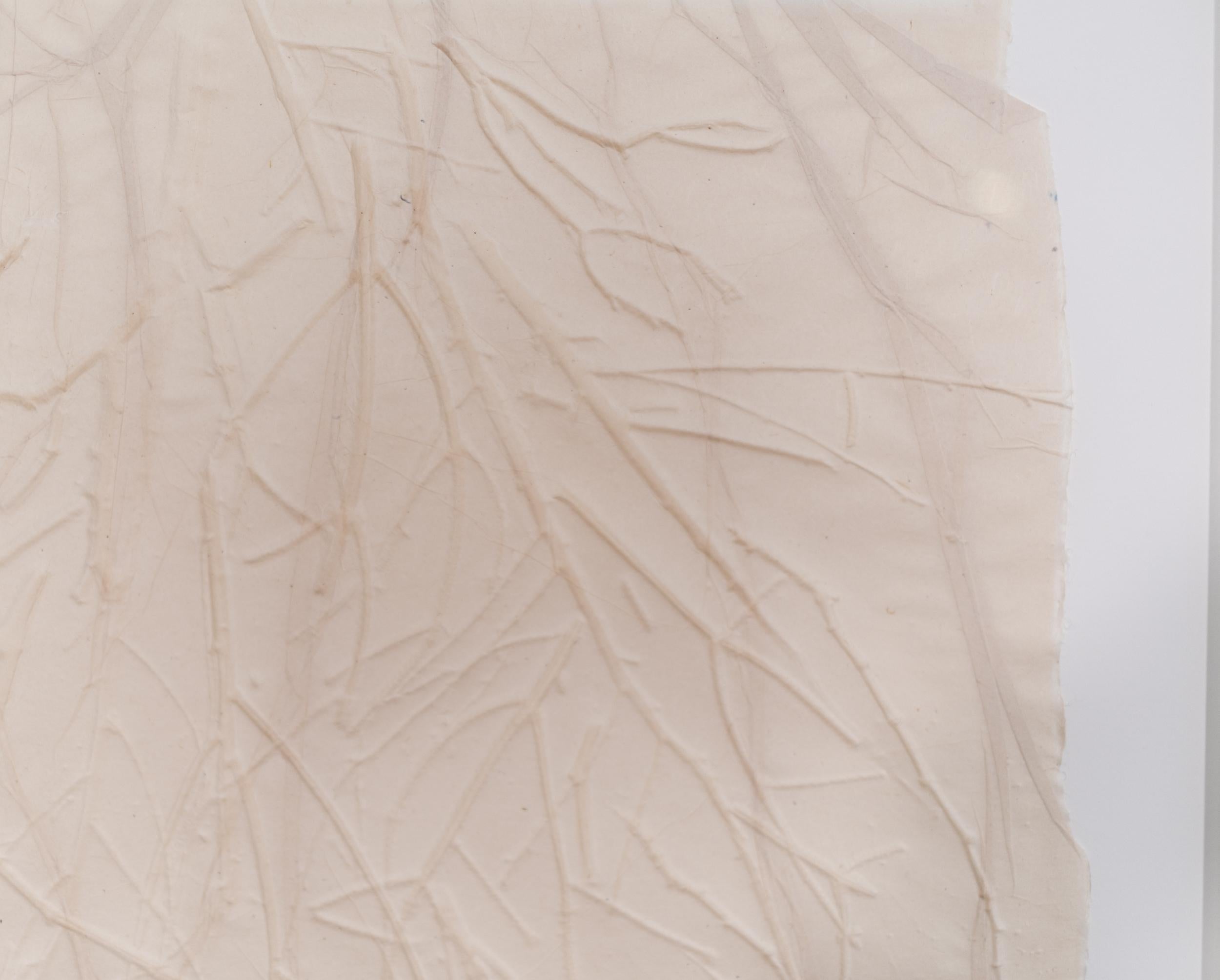 Parchment Series XXXV - astratto, in rilievo, monoprint su carta pergamena in vendita 2