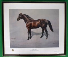 Mill Reef Winner of the Derby Stakes 1971 by Susan Crawford Ex- Susie Hilfiger