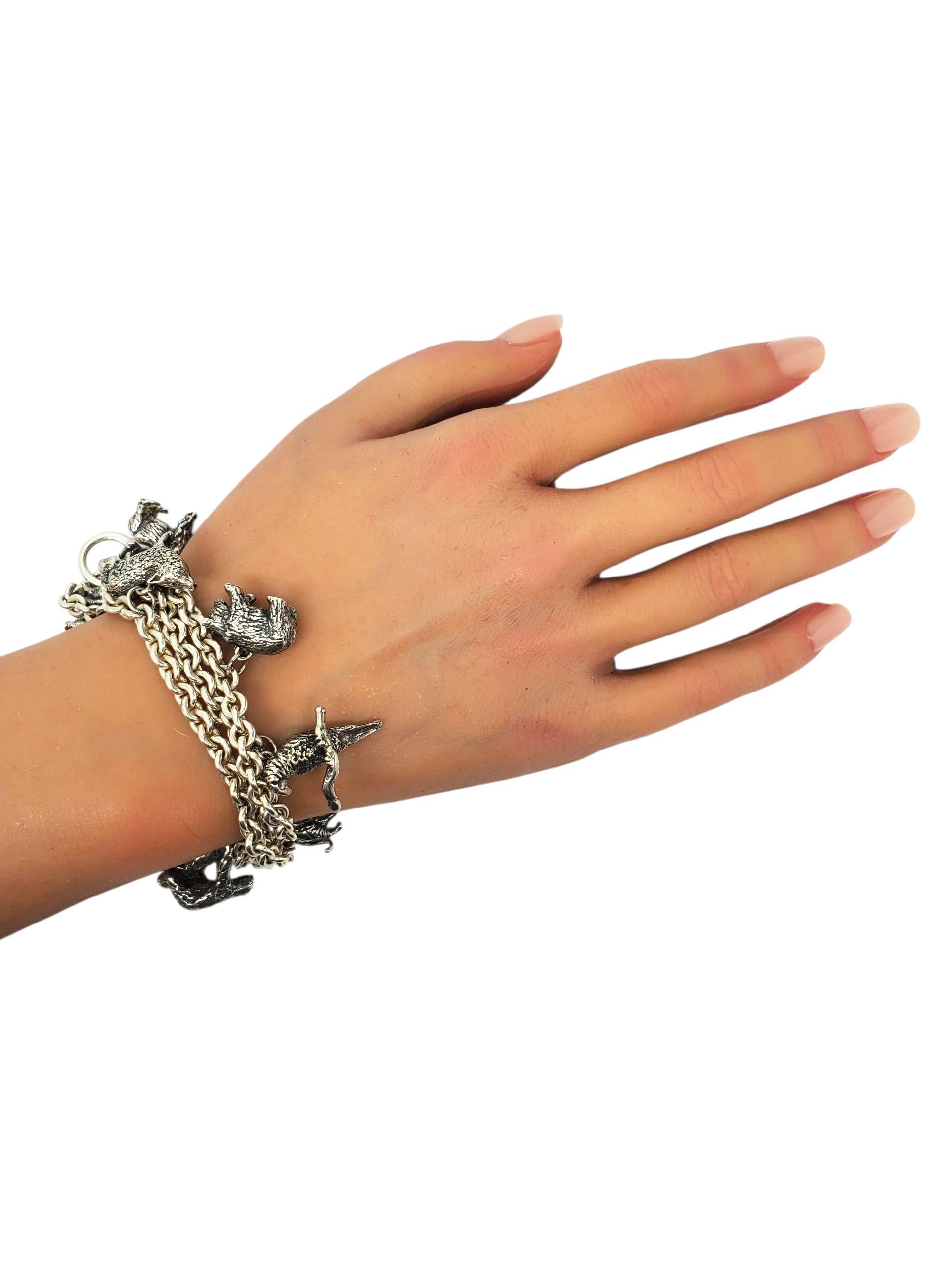 Susan Cummings Bracciale Charm a 3 catene in argento con specie in via di estinzione #22734 in vendita 5