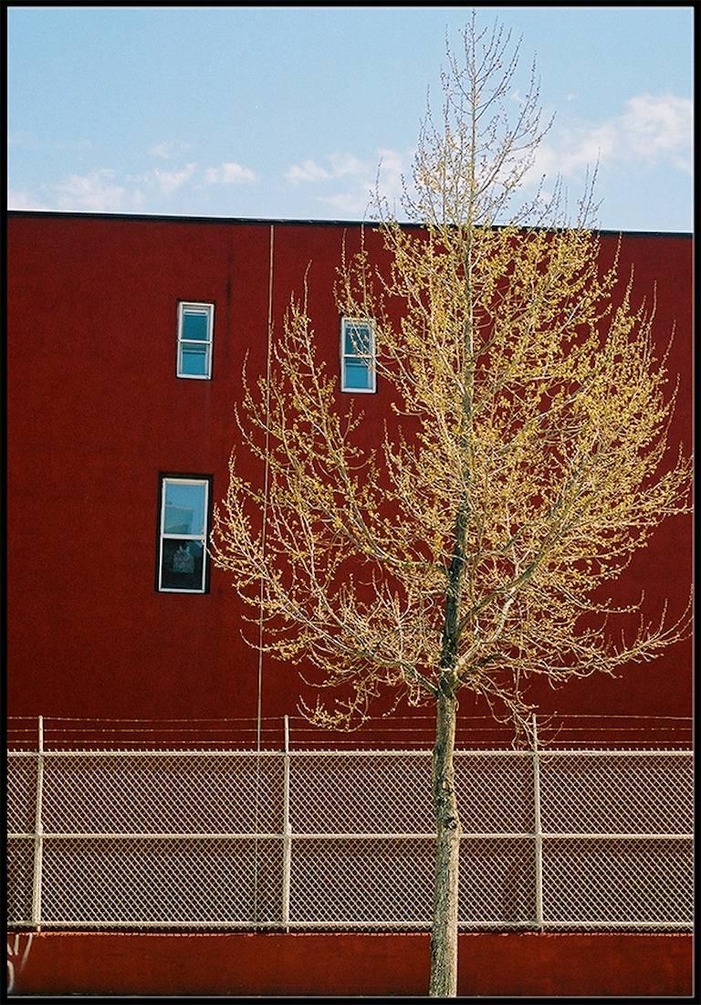 Color Photograph Susan Daboll - Williamsburg 2 - Photographie urbaine contemporaine en couleur - Impression numérique d'archives