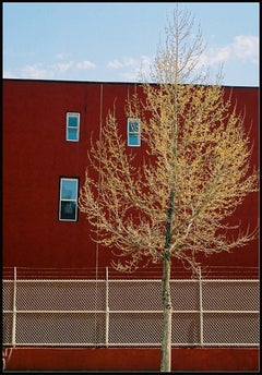 Williamsburg 2 - Contemporary Urban Color Photograph - Archival Digital Print 
