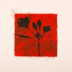 Night Walk 1 (Natural Structures, Shifting Daylight, Floral, Botanical, 26% OFF)