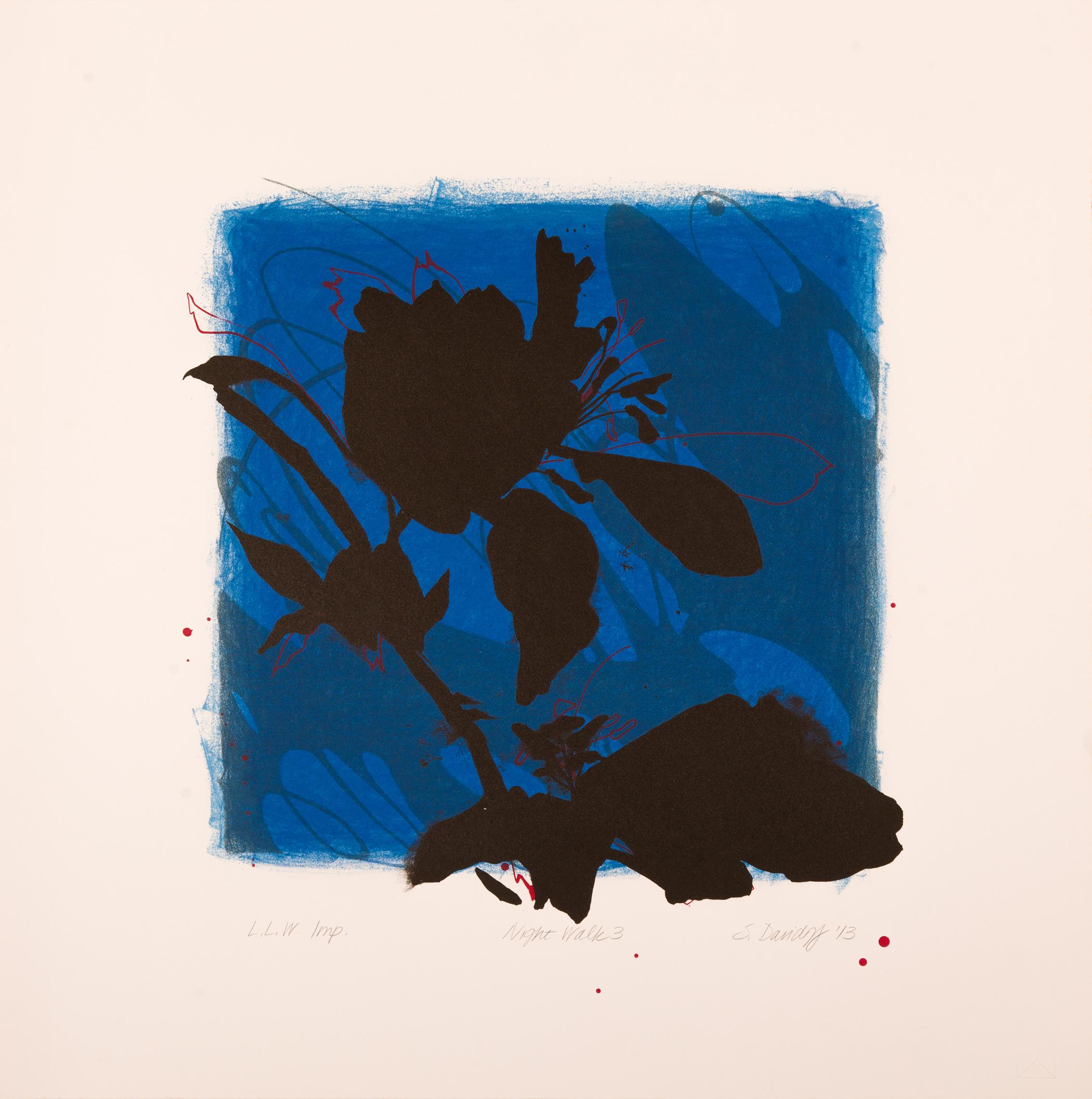 Night Walk 3 (Natural Structures, Shifting Daylight, Floral, Botanical, 26% OFF)