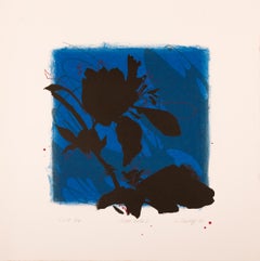 Night Walk 3 (Natural Structures, Shifting Daylight, Floral, Botanical, 26% OFF)