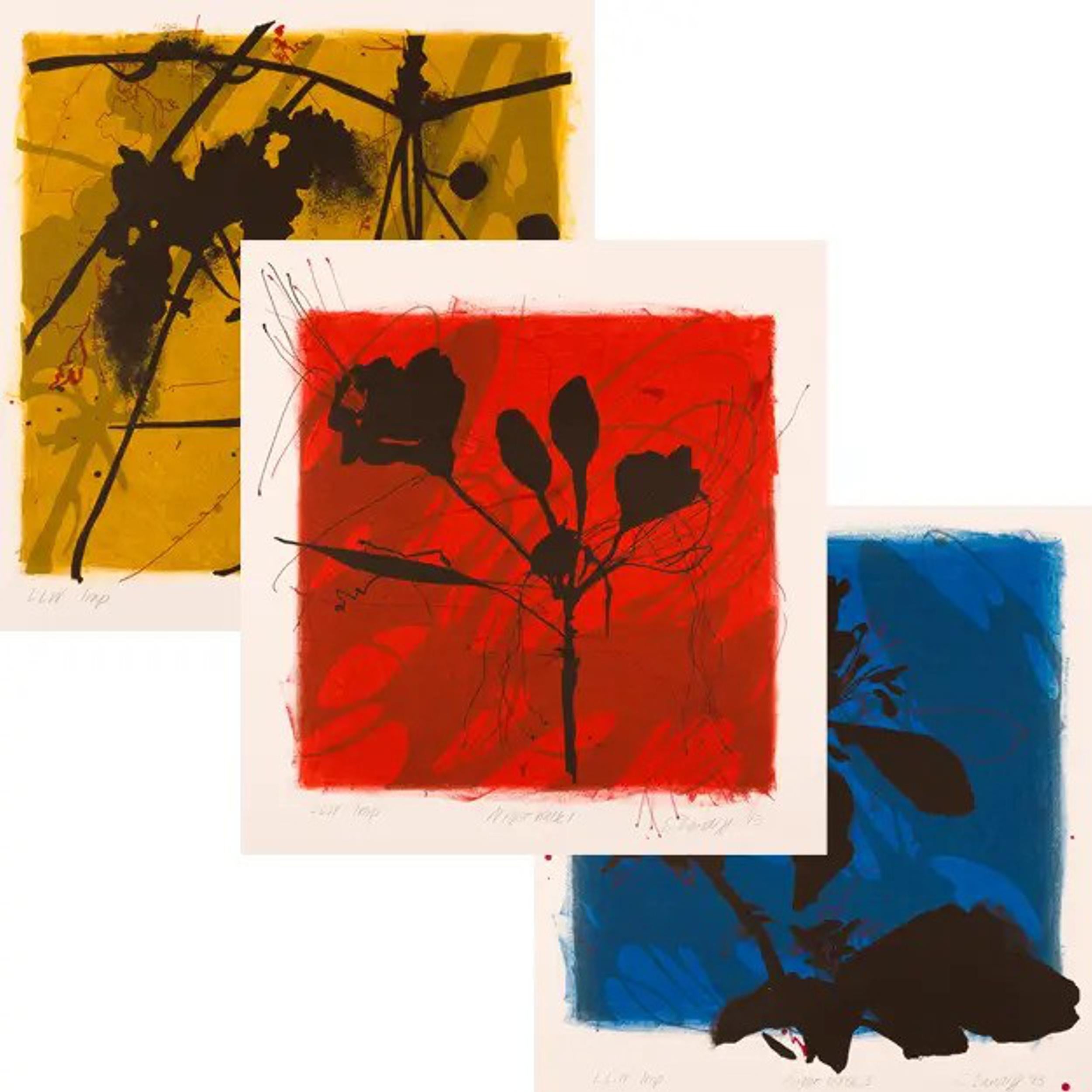 Night Walk Set of 3 (Natural Structures, Floral, Botanical, ~37% OFF LIST PRICE)