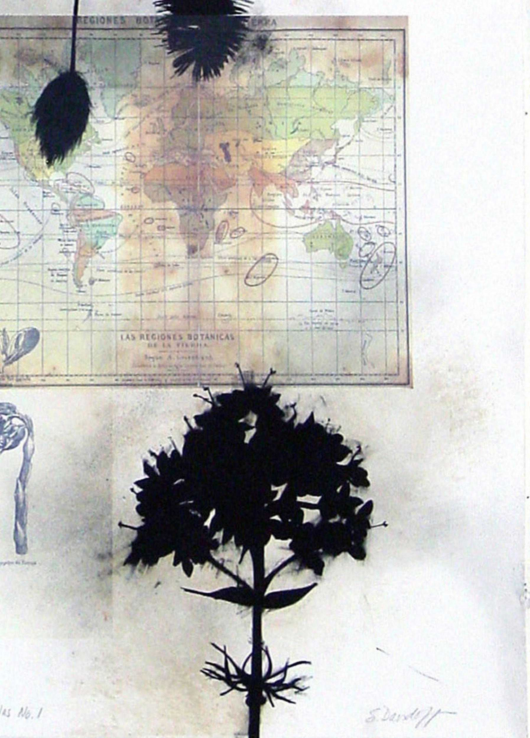 Regiones Botanicas de la Tierra: Antilles No. 1 (Antilles, botanische Kunst, ~40% O im Angebot 5
