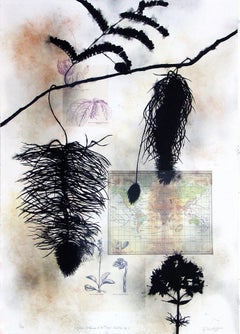 Regiones Botanicas de la Tierra: Antilles No. 1 (Antilles, Botanical Art, ~40% O