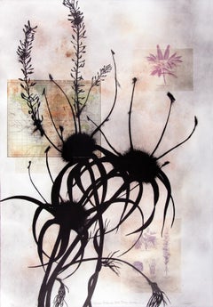 Regiones Botanicas de la Tierra: Antilles No. 2 (Botanical Art, ~40% OFF)