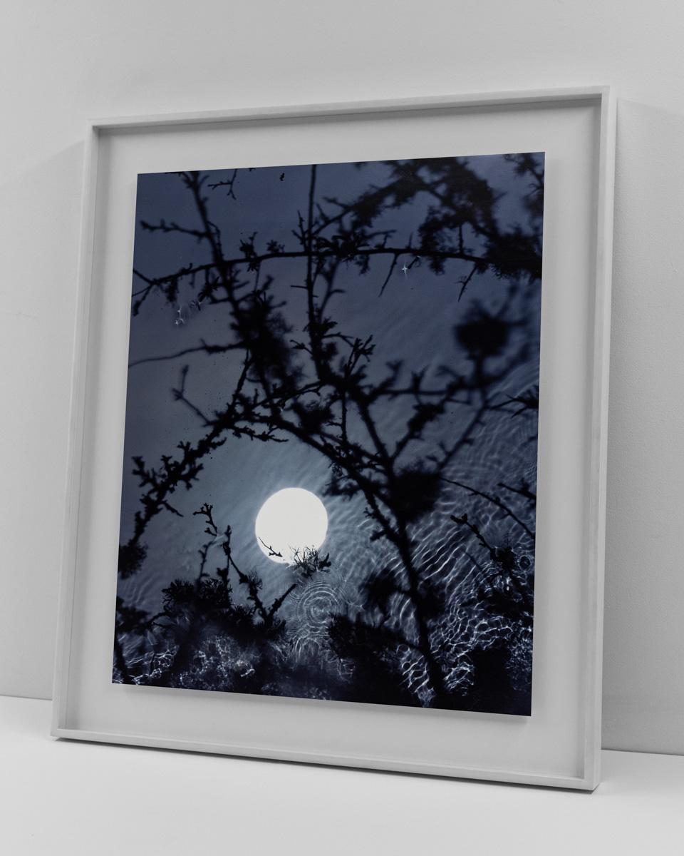 Full Moon – Black Thorn - Contemporary Photograph by Susan Derges